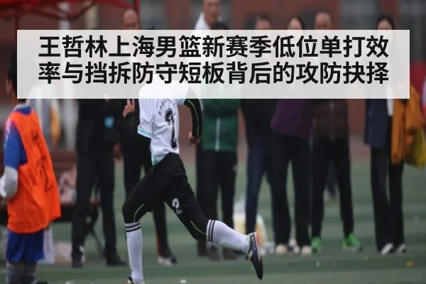 王哲林上海男篮新赛季低位单打效率与挡拆防守短板背后的攻防抉择 | c7c7.app